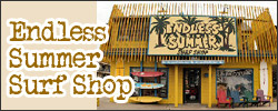 Endless Summer Surf Shop Logo